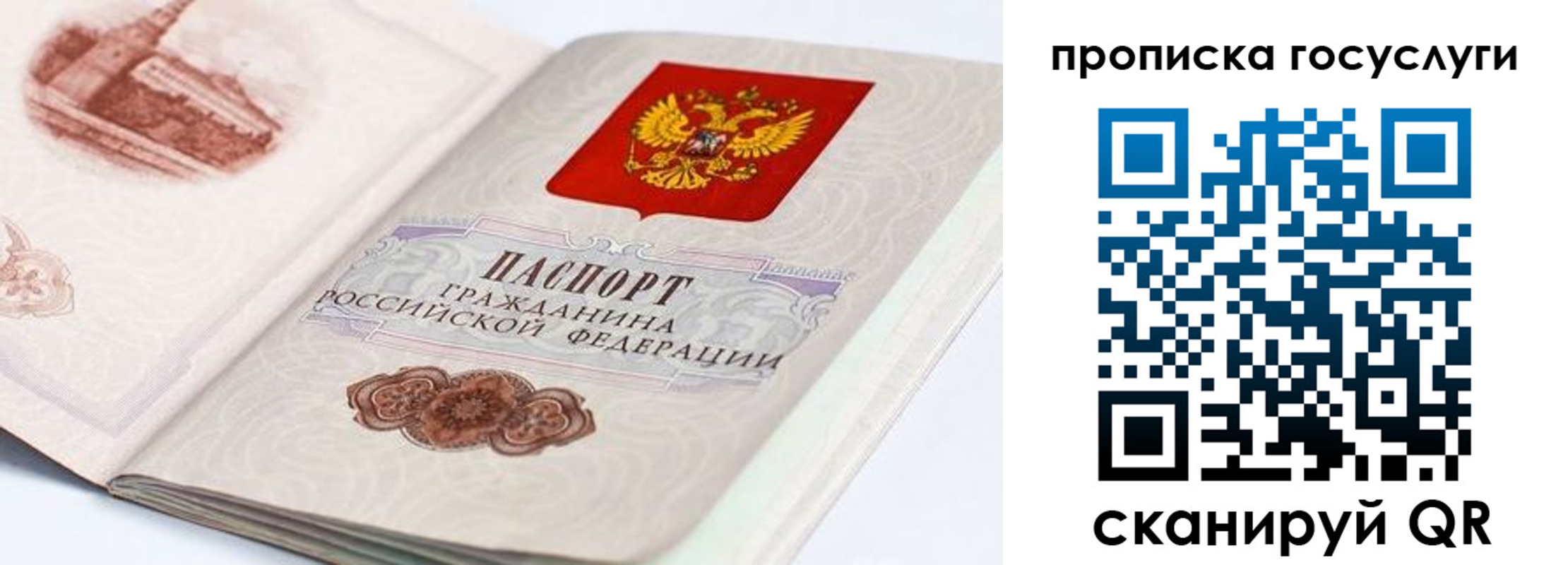 прописка регистрация в Сосновоборске